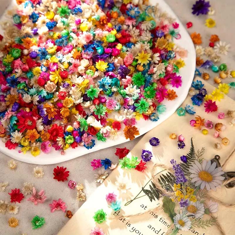 Fiori colorati misti per stamp - Resin Craft Ideas recensione e prezzo